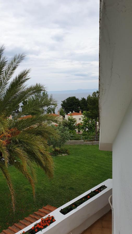 Apartament Amparoudes Kriopigi Zewnętrze zdjęcie